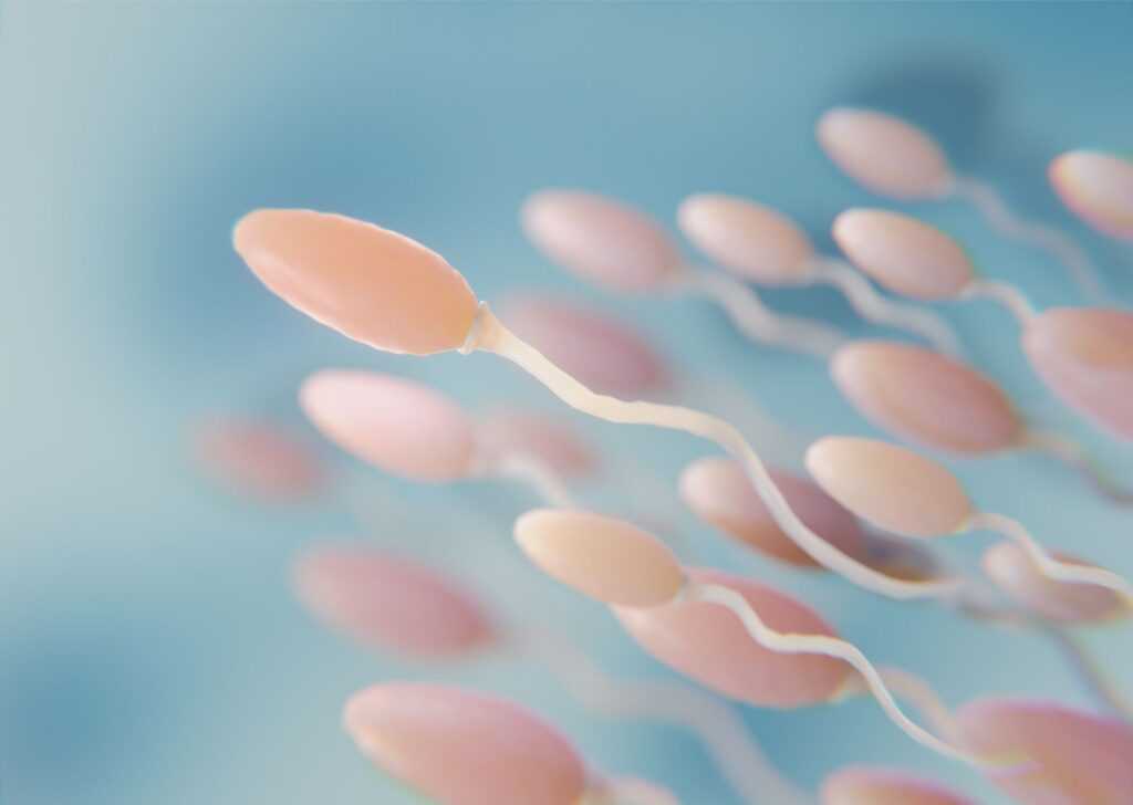 beautiful fertility concept 3d rendering 1