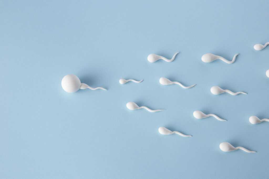 high angle spermatozoa with blue background